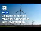 Éolien : un géant des énergies rentabilise sa production dans le Montreuillois