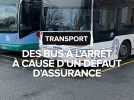 Les bus de l'agglomération Castres-Mazamet à l'arrêt après un défaut d'assurance