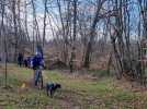 Canicross en forêt de Mondon à Moncel-lès-Lunéville : les participants et leurs binômes canins en pleine action