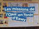 Pays de Bray : les missions de l'ONF en forêt d'Eawy