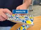 Des espadrilles anti-moustique