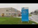 Pfizer in Puurs