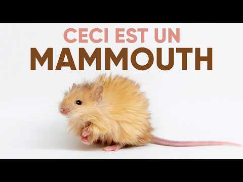 DÉSEXTINCTION : peut-on ramener une espèce entière à la vie (comme dans Jurassic Park) ?