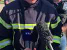 Incendie dans un camping du Cap-d'Agde : le commandant des pompiers de l'Hérault Eric Florès s'exprime