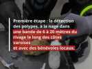 En quête de demain - Comment cette plongeuse forme des 