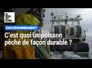 C'est quoi la pêche durable ?