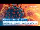 Nouveau variant du Covid : symptômes, nombre de cas en France, dangerosité... 5 choses à savoir sur NB.1.8.1