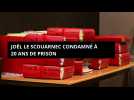 Joël Le Scouarnec condamné à 20 ans de prison