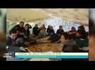 Local Génial - 28/05/2025 - Amboise : des séjours d'immersion en forêt