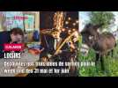 Sorties week-end à Calais : Culture, musique et terroir
