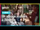 [TU SAVAIS ?] Un voyage scolaire à Tenerife