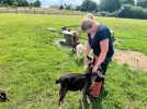 VIDÉO. Ce couple a ouvert une ferme pédagogique pour sauver des animaux maltraités ou condamnés