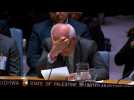 VIDÉO. Nations Unies : l'ambassadeur palestinien fond en larmes