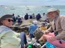 Semaine du Golfe. Ils viennent à la Grande parade pour voir les bateaux sous voile