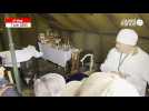 VIDÉO. 81e D-Day. Au camp Geronimo à Sainte-Mère-Eglise, un hôpital de campagne reconstitué