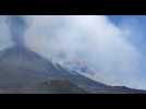 Sicile : L'Etna crache un énorme panache de cendres et de gaz
