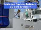 Quels sont les navires qui arrivent à Nice pour le sommet des Océans ?