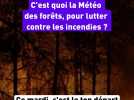 Météo des forêts : quel est ce dispositif de lutte contre les feux de forêt ?