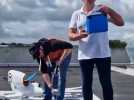Un drone pour livrer les hôpitaux d'Abbeville, Amiens et Montreuil-sur-Mer en prélèvements biologiques et lait maternel