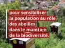 Patrimoine - La municipalité de Clermont-Ferrand contrainte de reporter les festivités pour les 40 ans du parc Montjuzet