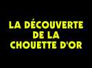 La découverte de la chouette d'or (Bande annonce)
