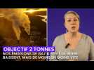 Objectif 2 tonnes #66 : Nos émissions de gaz à effet de serre baissent, mais de moins en moins vite