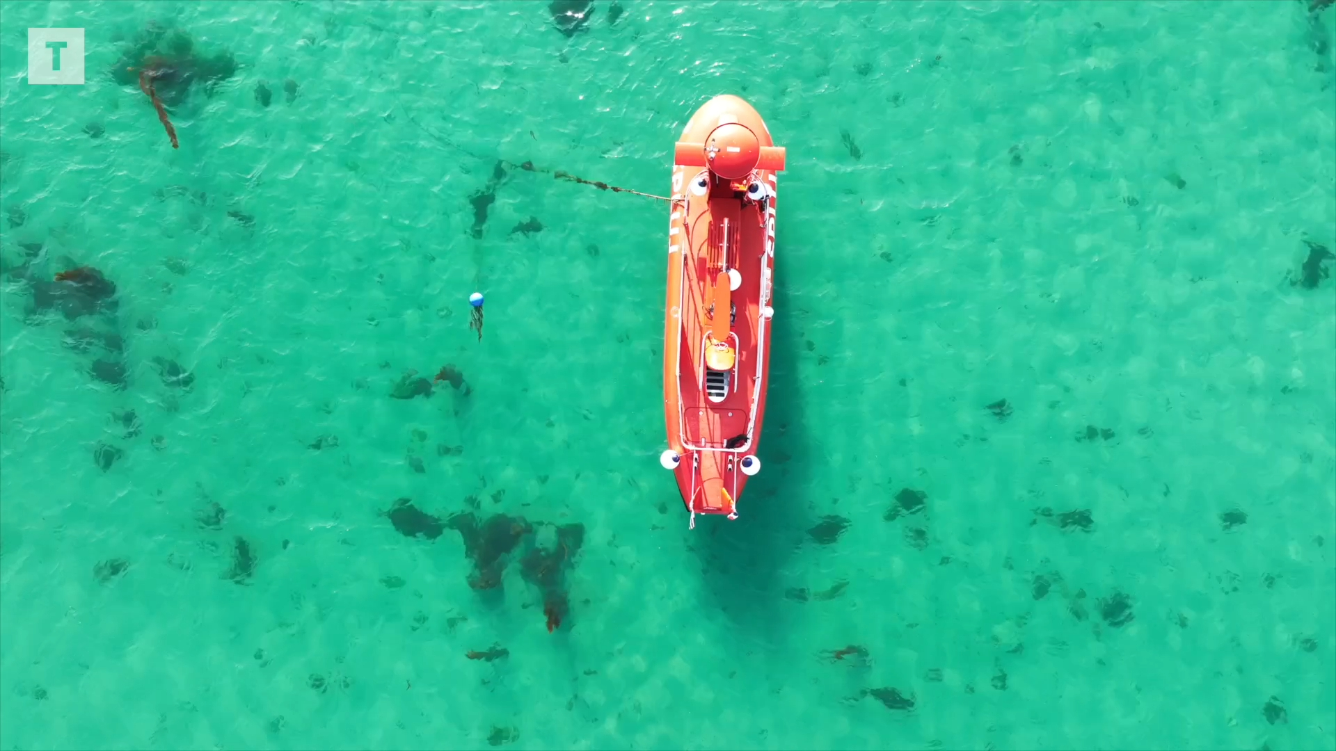 À bord de Spluj, le semi-sous-marin qui dévoile « la jungle sous-marine bretonne » des Abers