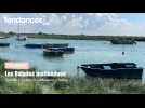 Les Balades Inattendues, épisode 1 : le port de la Madelon, à Waben