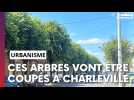 Pourquoi Charleville-Mézières veut couper ces arbres ?