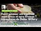 Voici comment faire un carré potager en évitant les limaces