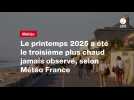 VIDEO. Le printemps 2025 a été le troisième plus chaud jamais observé, selon Météo France