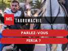 Le vocabulaire de la tauromachie avec Vincent Coste : parlez-vous feria ?