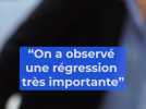 Savez-vous pourquoi il faut protéger les algues brunes ? Cette experte nous l'explique
