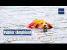 À Publier, les chiens apprennent le sauvetage aquatique