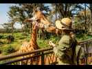 5 activités originales à faire en famille dans un zoo