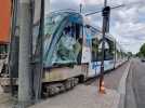Eurométropole de Strasbourg : déjà quatre accidents de tram impactant la circulation cette année