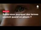 VIDEO. Savez-vous pourquoi des larmes coulent quand on pleure ?