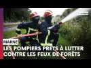 Les pompiers de la Marne se préparent à lutter contre les feux de forêts