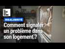 Insalubrité : que faire si mon propriétaire n'intervient pas ?