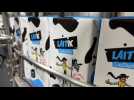 Laitik : peut-on être producteur de lait et propriétaire d'une laiterie ?