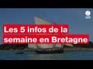 VIDÉO. Eva Longoria, ballade, chiens interdits de marché : l'actu de la semaine en Bretagne