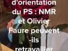 Le maire de Rouen Nicolas Mayer-Rossignol brigue la tête du PS face à Olivier Faure : une union impossible ?