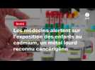 VIDEO. Les médecins alertent sur l'exposition des enfants au cadmium, un métal lourd reconnu cancérigène