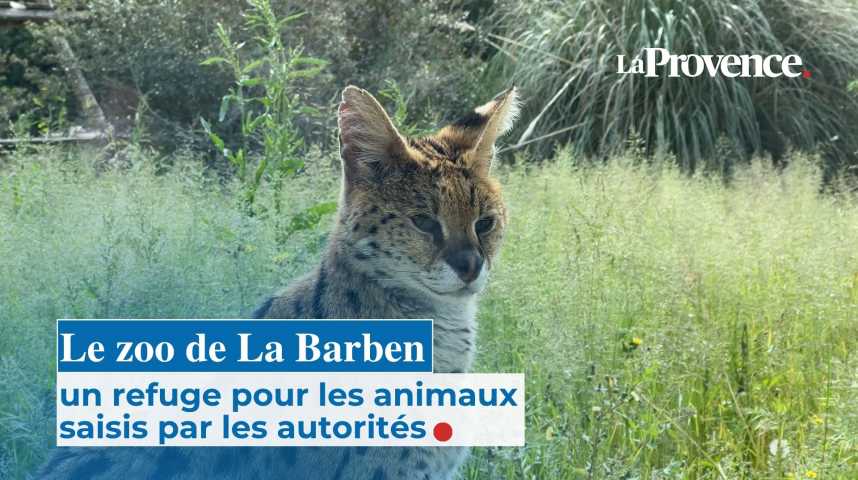 Un entrepreneur de Valensole réalise le chemin de Compostelle pour soutenir deux associations de Manosque