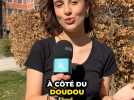 Pourquoi faire le Doudou à Mons quand tu es étudiant ?