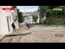 VIDÉO. Les marches de la cathédrale, passage obligé de Tout Angers Bouge