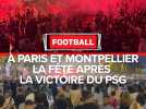 Ligue des Champions : la folie chez les supporters après la victoire du PSG