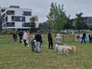 Saint-Laurent-Blangy : un parc pour chiens inauguré au Val de Scarpe