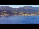Dauphins à Collioure 31 mai 2025