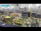 VIDÉO. Des Lego par milliers : à Mulsanne, des scènes géantes construites avec des petites briques